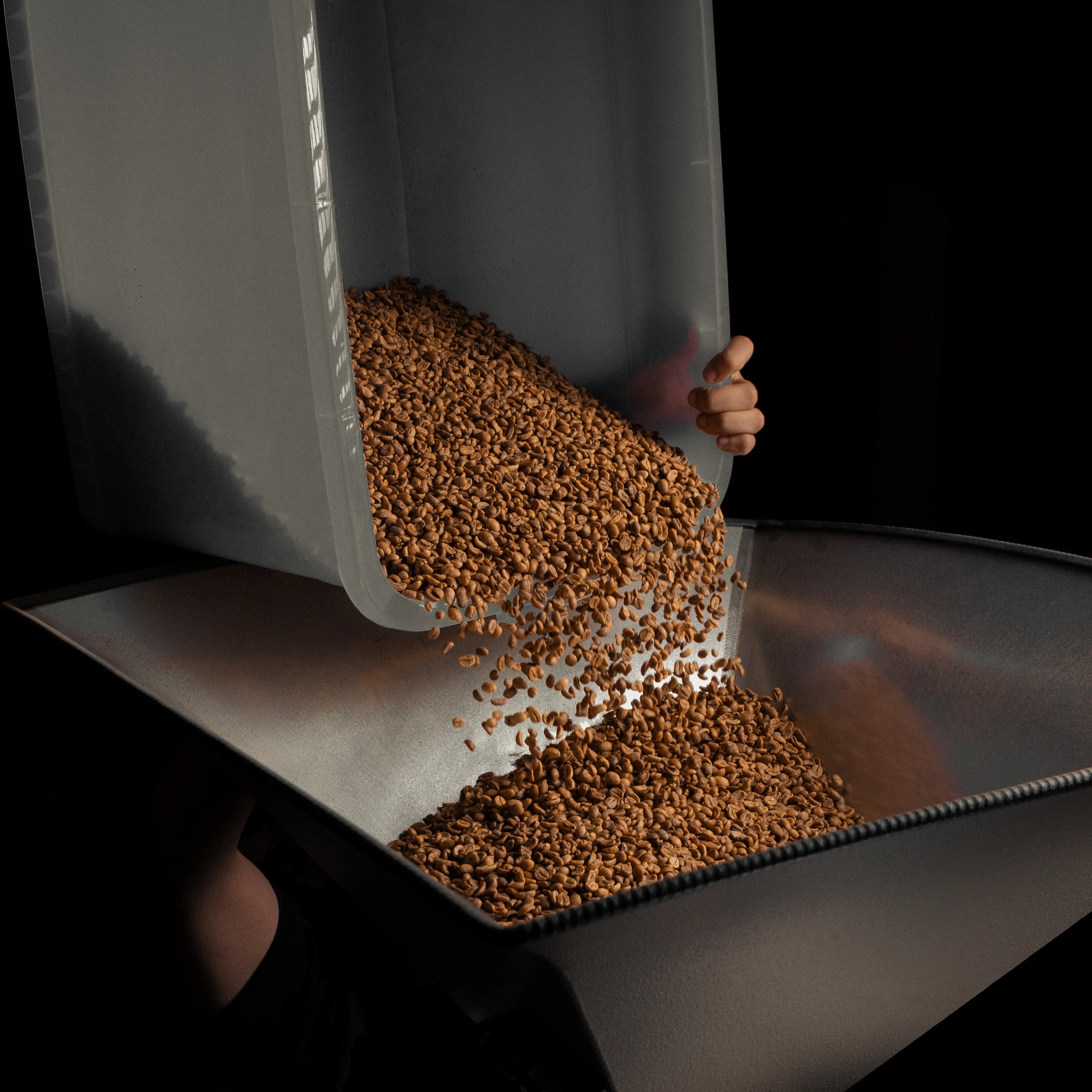 Some Coffee Bar — Bean to Brew: A Roasting Tale, photograph 1