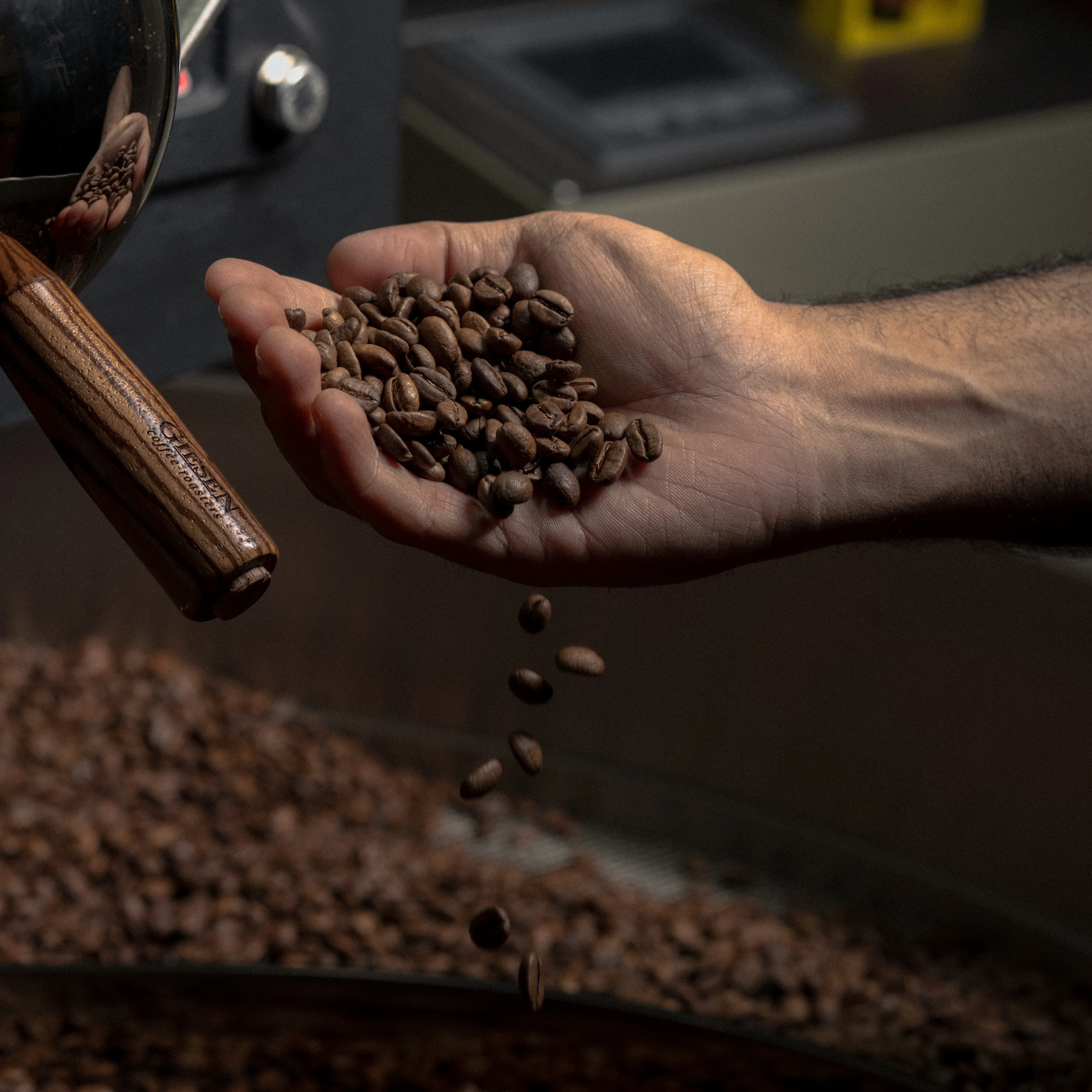 Some Coffee Bar — Bean to Brew: A Roasting Tale, photograph 6